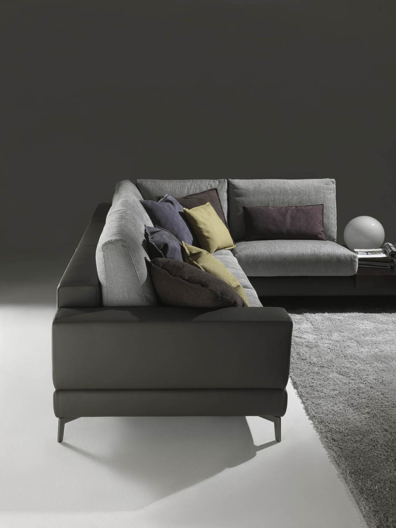 Carrara-bicolor_3